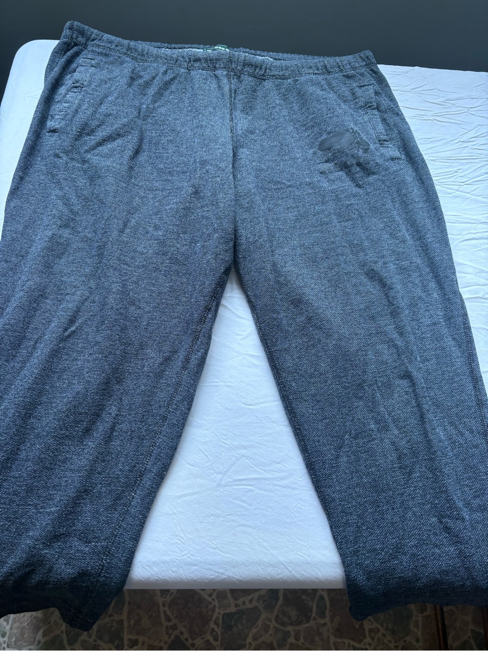 Roots Men's Dark Gray Heather Joggers